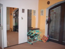 Tělocvična
